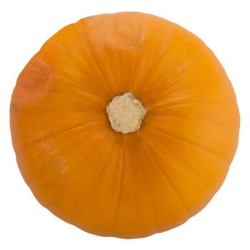 Pumpkin from above isolated