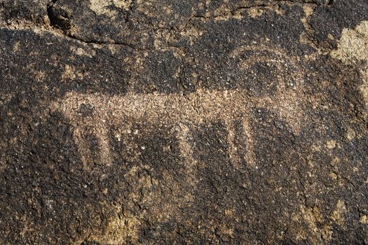 Native American Petroglyph of Animal in canyon near Chloride Arizona