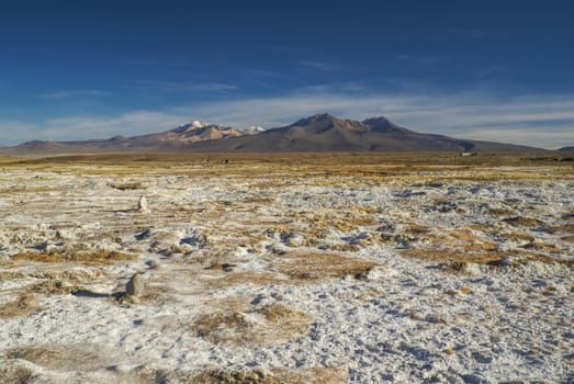 Picturesque view of bolivian Sajama national park and some of its highest peaks