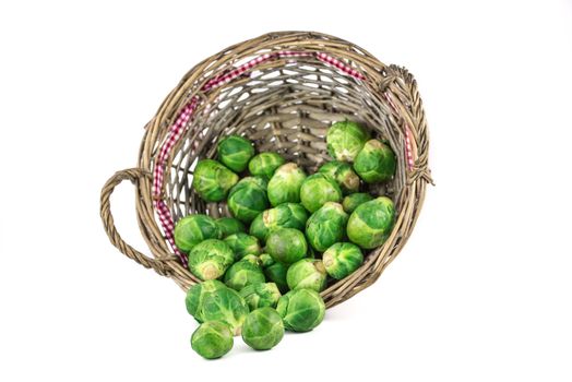 Sprouts in basket