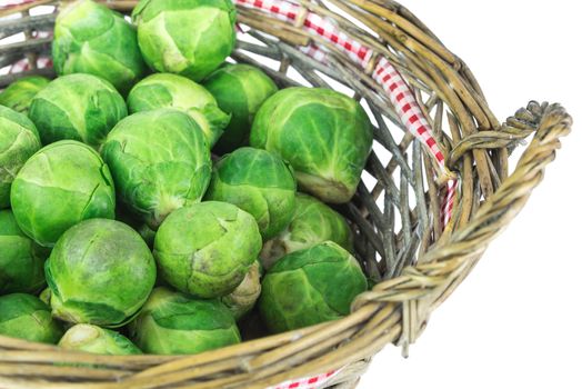 Sprouts in basket