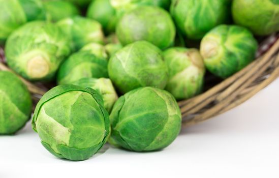 Sprouts in basket