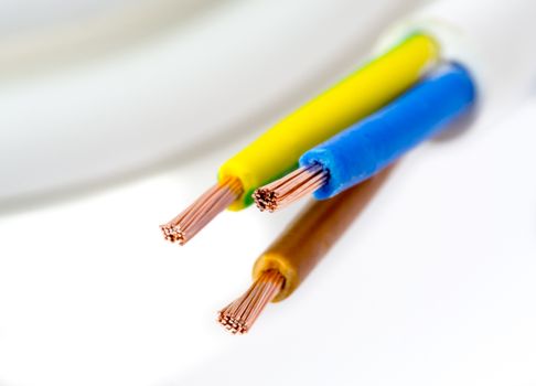 Stripped cords of a three-wire power cord