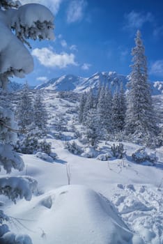 Idyllic white winter in mountains of Slovakia