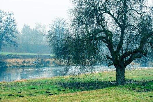 Beautiful morning mist landscape near a small river.