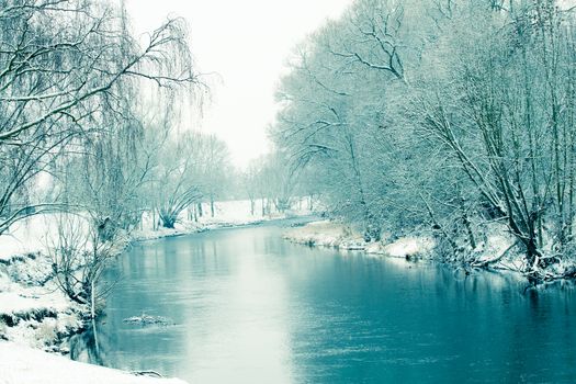 small river in winter, with trees