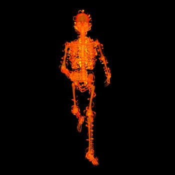 walking fire skeleton by X-rays in red - front view