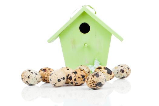 quail eggs with birdhouse, on a white background