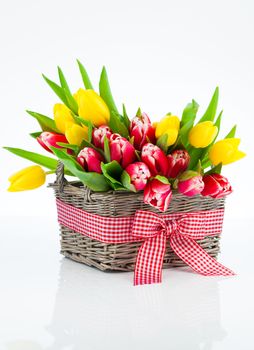 Basket with colorful bouquets of tulips on white background