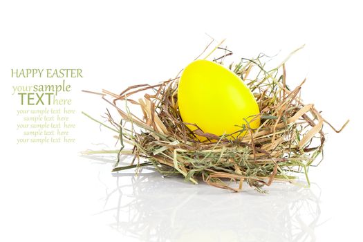 yellow eggs in nest isolated on white