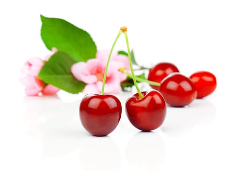 Sweet cherries with flowers, isolated on white background