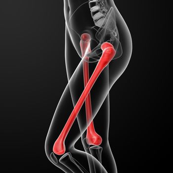 3d rendered illustration of the female femur bone - side view
