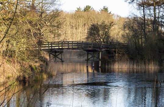 golden evening sunlight in nature park with bridge and water