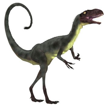 Dilong was a small carnivorous theropod dinosaur the lived in the Lower Cretaceous Era of China.