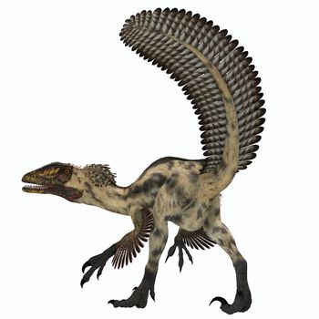 Deinonychus was a carnivorous theropod that lived in the Cretaceous Period of North America.