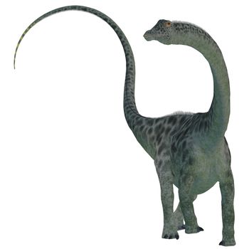 Diplodocus was a sauropod herbivorous dinosaur that lived in the Jurassic Era of North America.