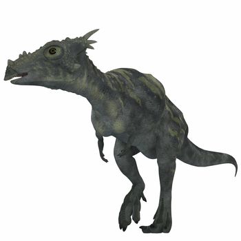 Dracorex was a herbivorous dinosaur and lived in the Cretaceous Period of North America.