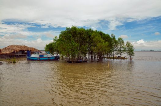 Scenic view of traditional village in Bangladesh