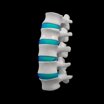 3d rendered illustration-lumbar side view