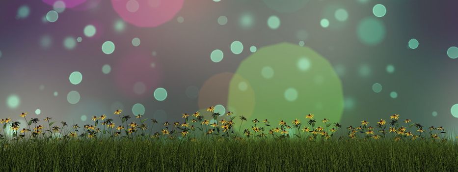 Grass and daisy and bokeh background - 3D render