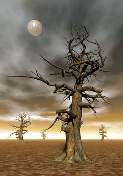 Dead trees by moonlight - 3D render