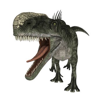 3D digital render of a hungry dinosaur Monolophosaurus isolated on white background