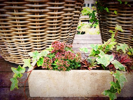Garden decoration. Baskets and blooming plants in concrete pot.