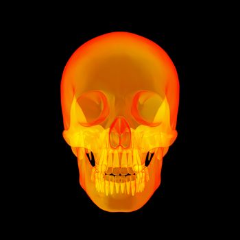 Isolated human x ray skull on black background - front view