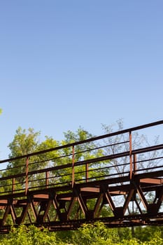 Vertical image of the bridge in the green