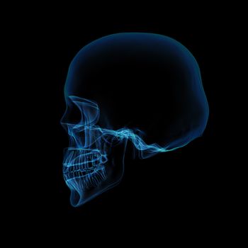 Isolated human x ray skull on black background