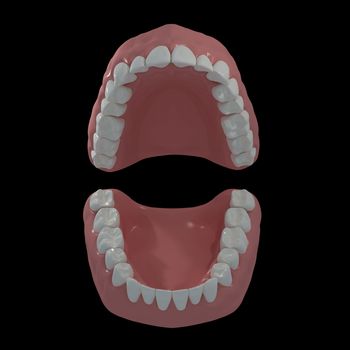 3D teeth on black background