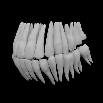 3D teeth on black background - side view