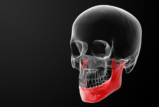 3d rendered illustration - jaw bone - side view