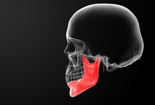 3d rendered illustration - jaw bone - side view