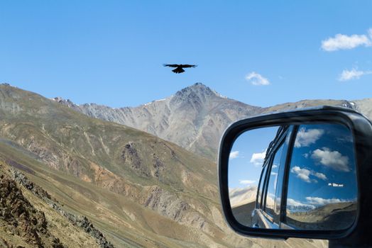 Meeting with eagle on the mountain pass in the car with rear view reflection (Nubra, India)
