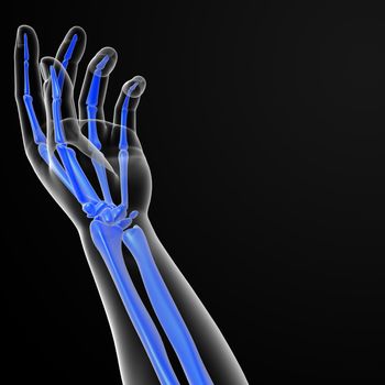 3d render illustration of the hand skeleton