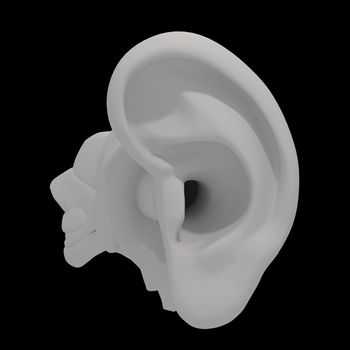 3d rendered illustration of the ear