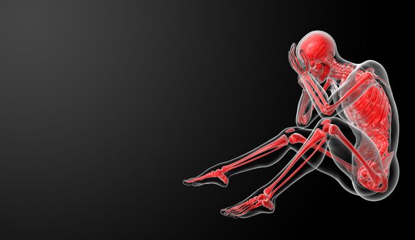 3d render Human antomy - side view