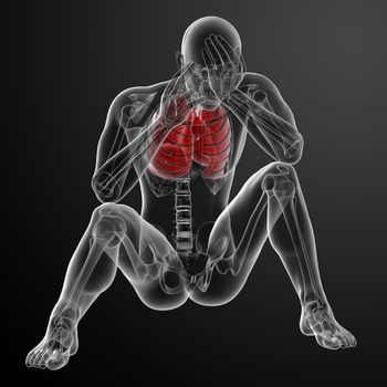 3D medical illustration - lungs front view