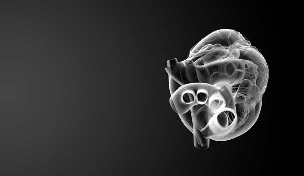 3d render Heart  - top view