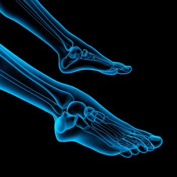 Human foot pain with the anatomy of a skeleton foot