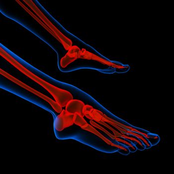 Human foot pain with the anatomy of a skeleton foot