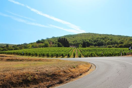 On the road of Chianti 