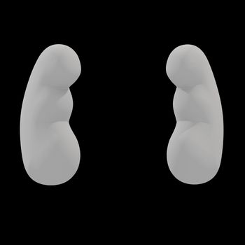 Kidney isolated on black background