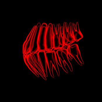 3d human red teeth - side view