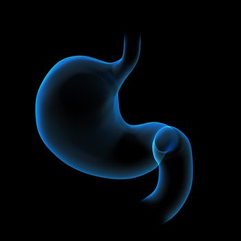 3d rendered illustration of the stomach