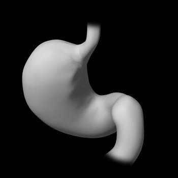 3d rendered illustration of the stomach