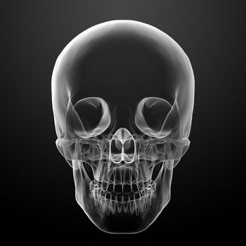 3d render skull on black background - front view