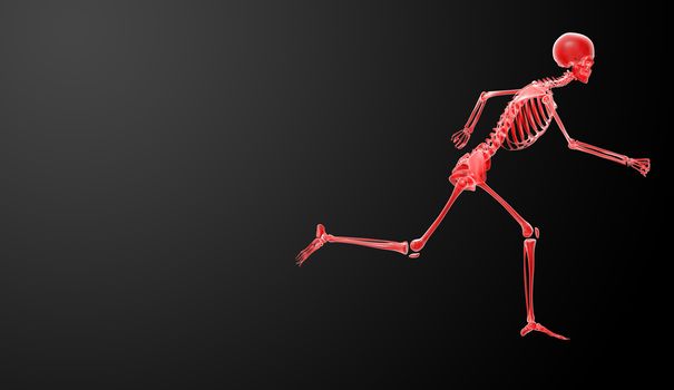 Running skeleton by X-rays in red - side view