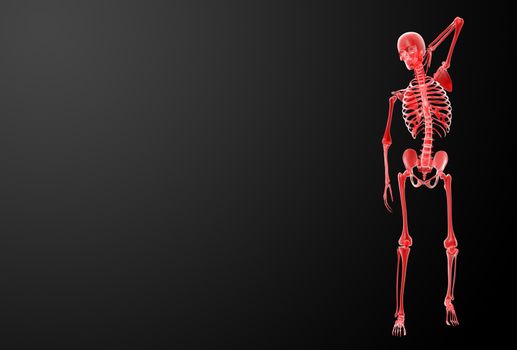 3d render Skeleton X-rays - front view